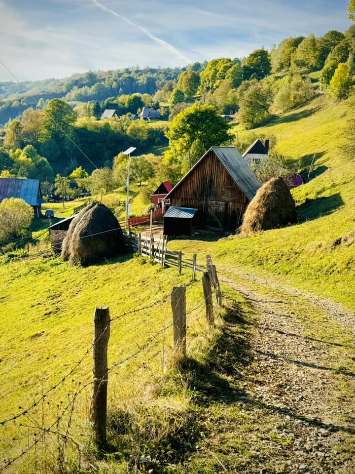 Private tour Romania - Bran Castle and Brasov with Mercedes V Class